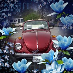 Meet your Posher, Kathy